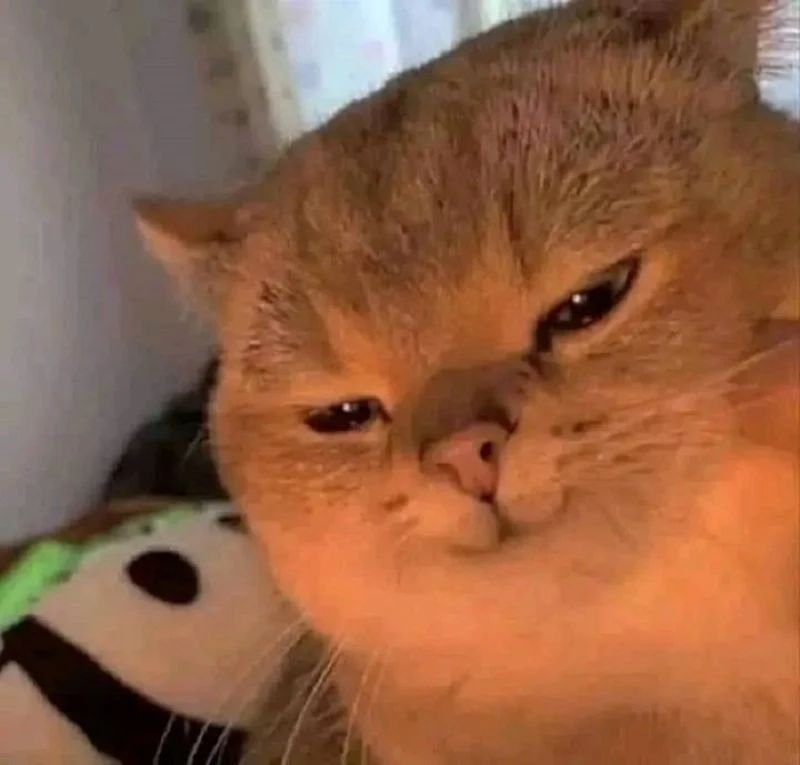 meme cười đểu cực kỳ hài hước