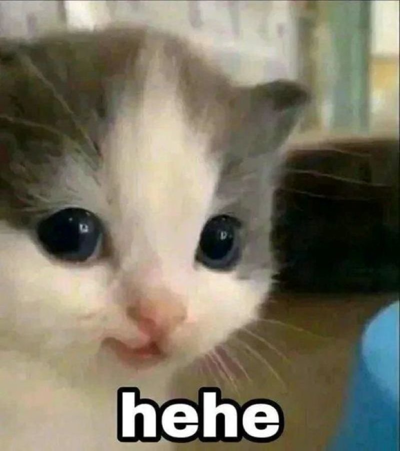 meme cười đểu dùng làm ảnh chế