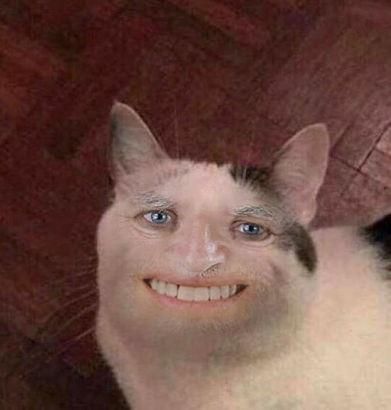 meme cười đểu phong cách cà khịa