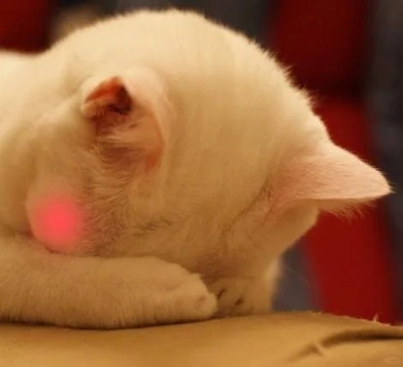 meme cute biểu cảm đáng yêu khó đỡ meme cute biểu cảm đáng yêu khó đỡ