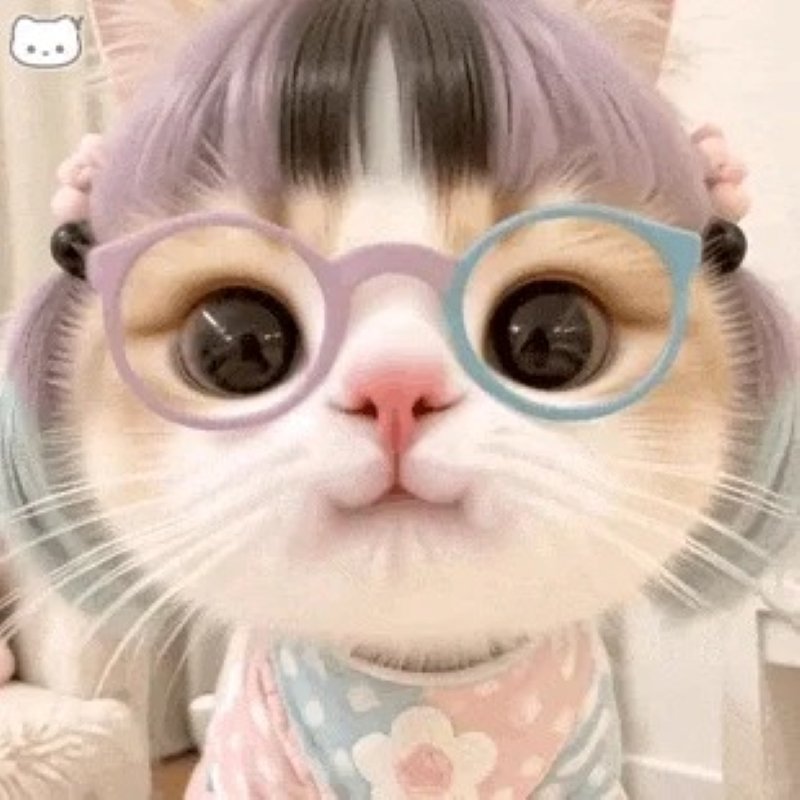 meme cute biểu cảm khiến dân mạng thích meme cute biểu cảm khiến dân mạng thích