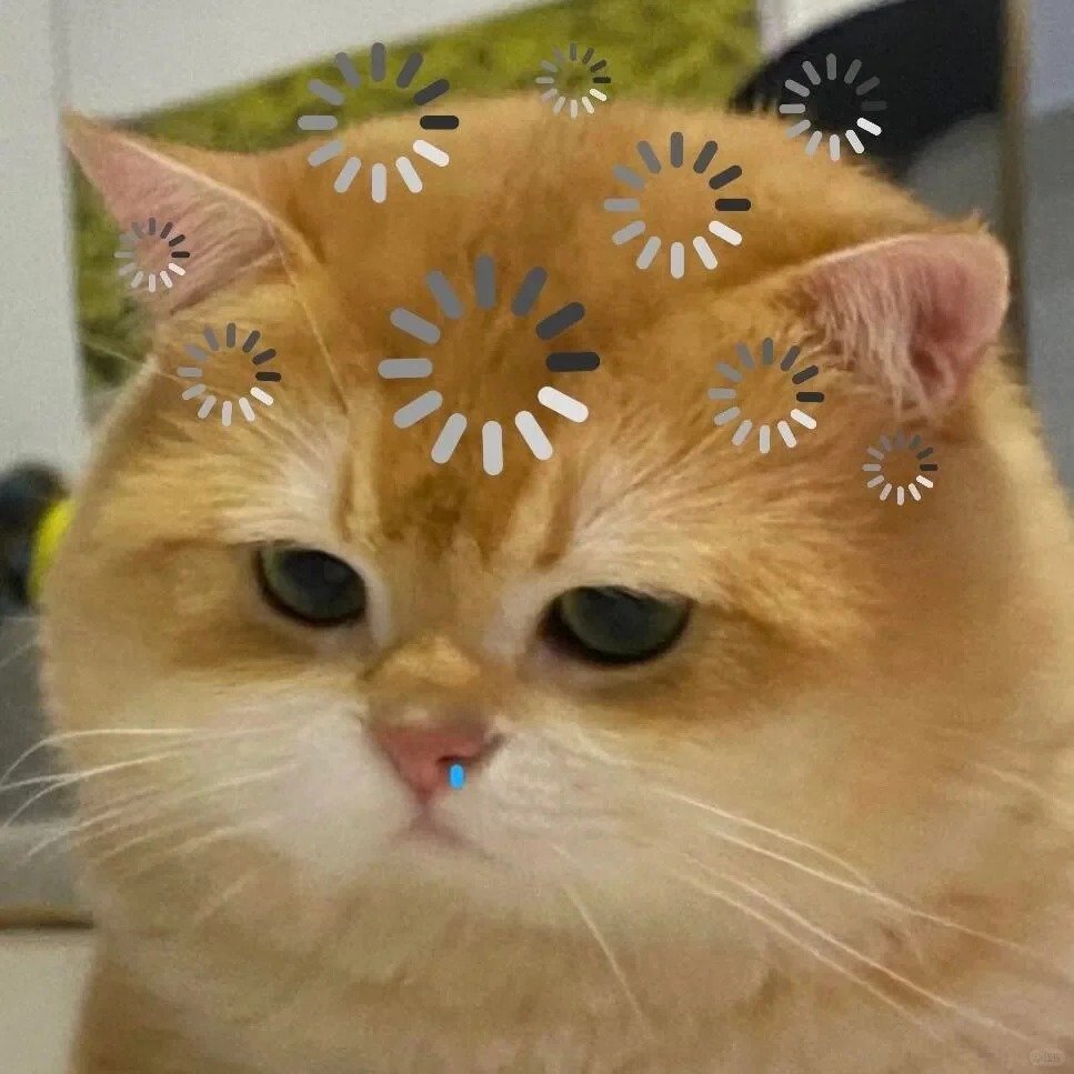 meme cute hài hước cực chill cực vui meme cute hài hước cực chill cực vui