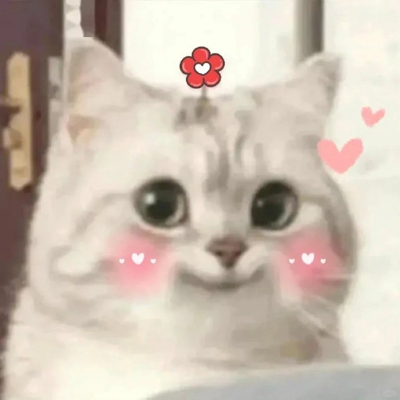 meme cute hài hước cực kỳ bắt trend meme cute hài hước cực kỳ bắt trend