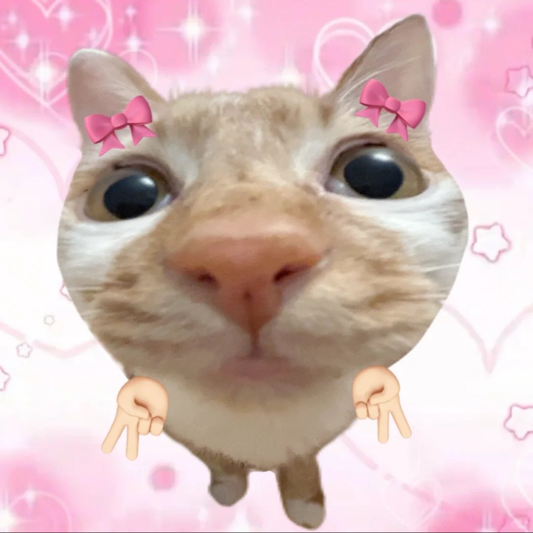 meme cute hài hước dành cho giới trẻ meme cute hài hước dành cho giới trẻ
