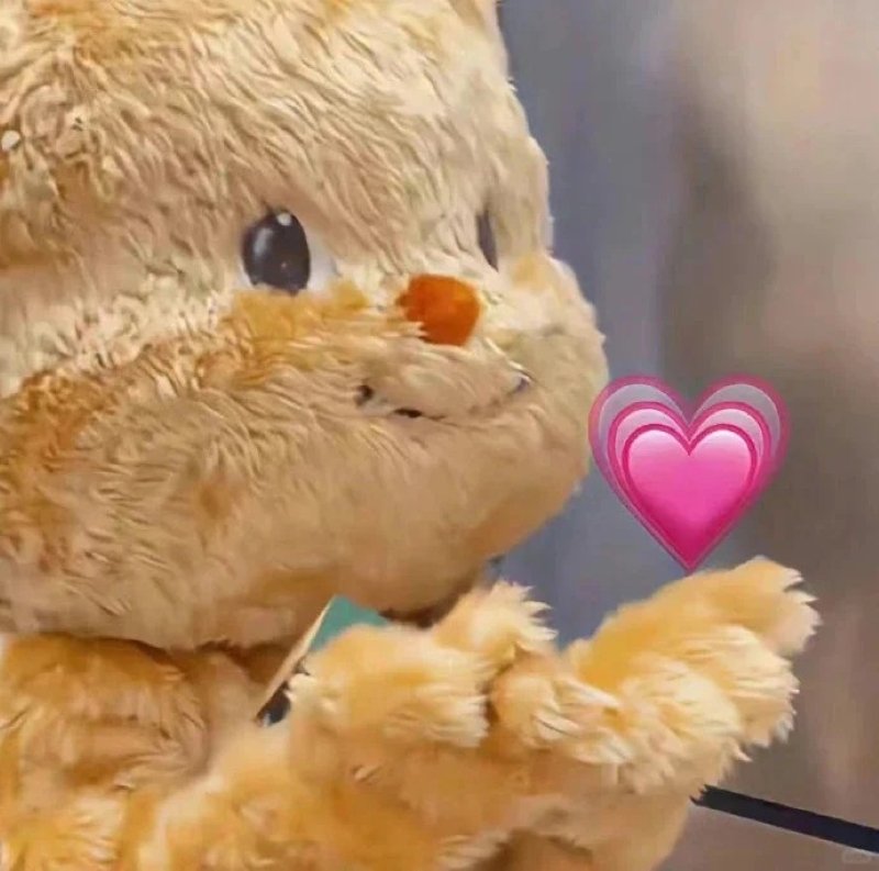 meme cute hài hước xem ngay kẻo lỡ meme cute hài hước xem ngay kẻo lỡ