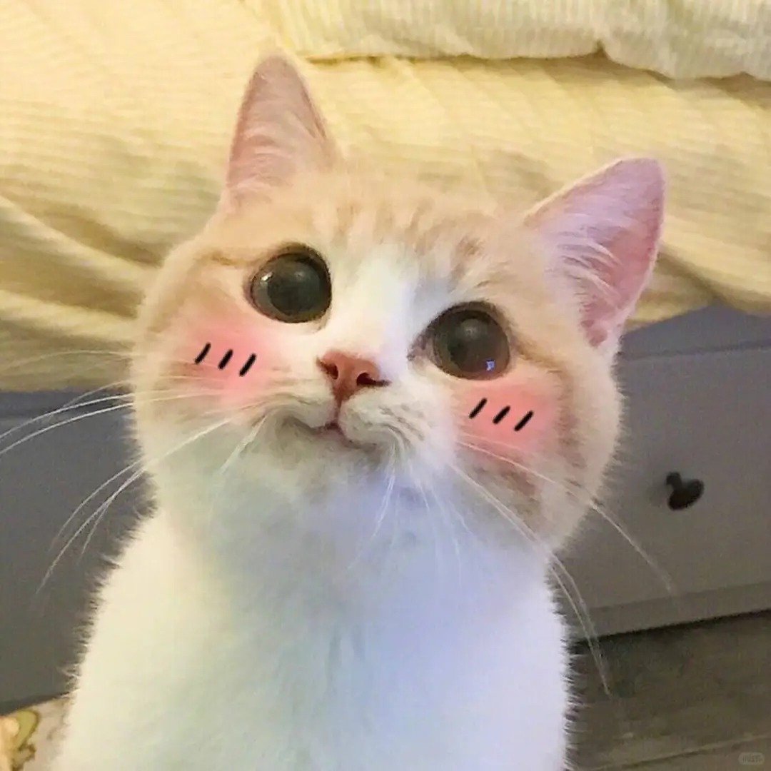 meme cute vui nhộn được chia sẻ nhiều meme cute vui nhộn được chia sẻ nhiều