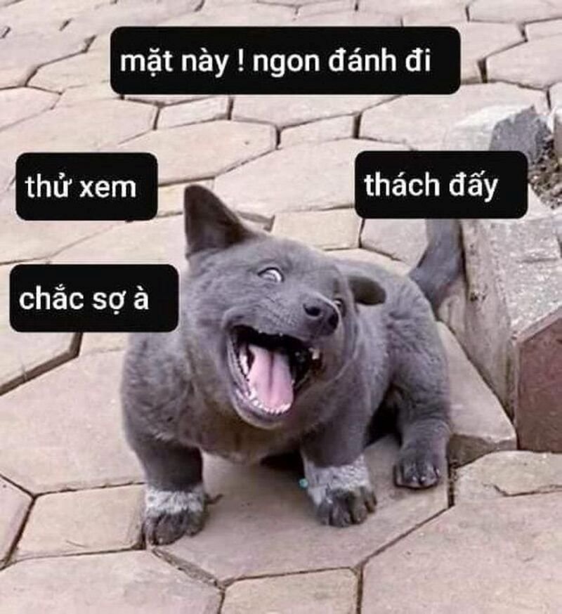 meme đánh cực mạnh siêu lầy lội