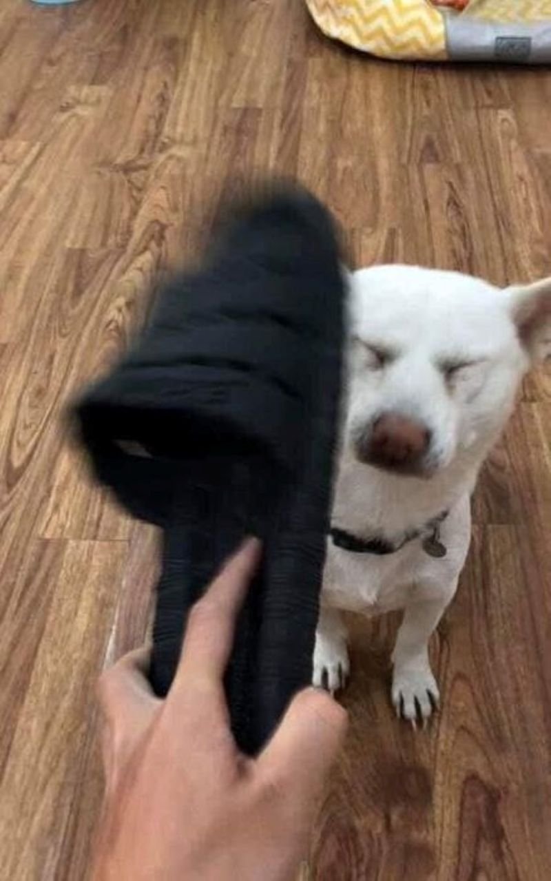 meme đánh nhau cực chất dành cho bạn
