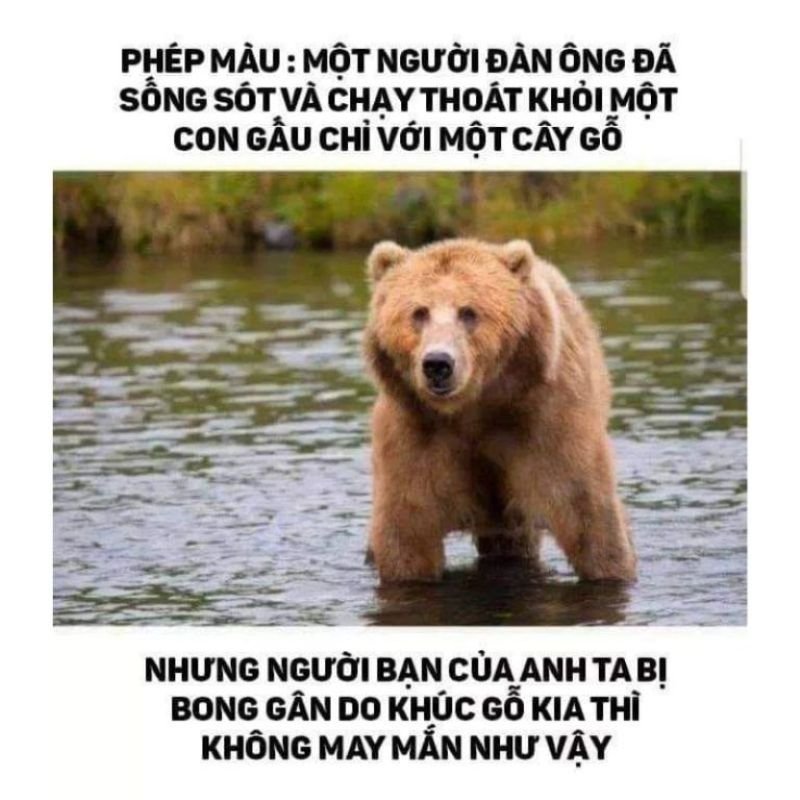 meme dark siêu lầy đang thịnh hành meme dark siêu lầy đang thịnh hành
