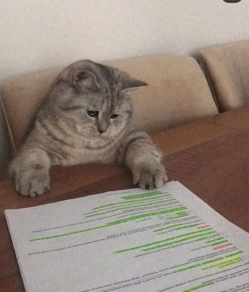 meme đau đầu cực kỳ hài hước