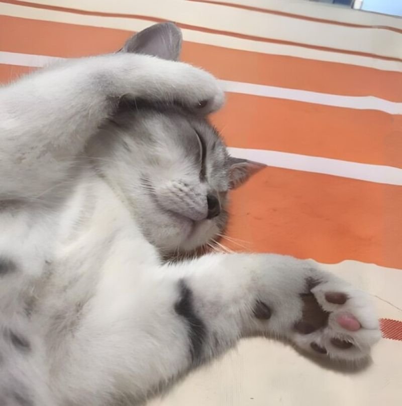 meme đau đầu khi gặp drama