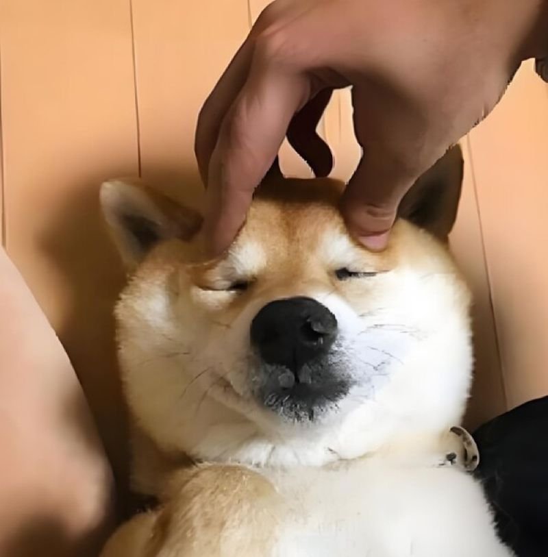 meme đau đầu khi mọi thứ rối tung
