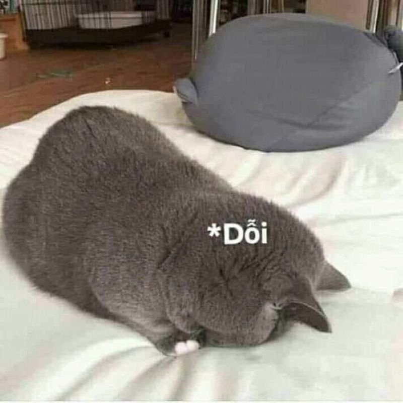 meme dỗi biểu cảm đáng yêu hết nấc meme dỗi biểu cảm đáng yêu hết nấc