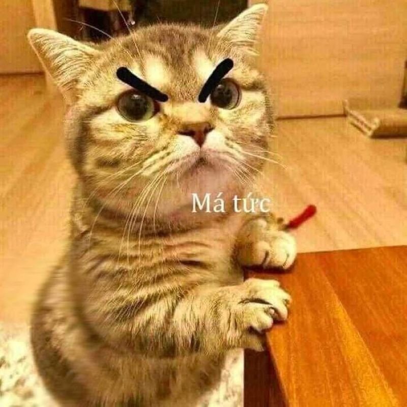 meme dỗi cực hài cho những ngày giận meme dỗi cực hài cho những ngày giận