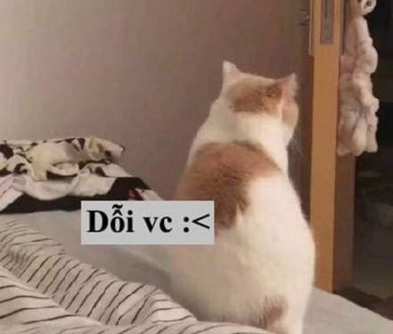 meme dỗi cute biểu cảm siêu đáng yêu meme dỗi cute biểu cảm siêu đáng yêu