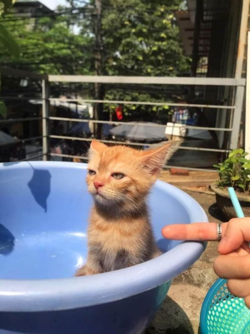 meme dỗi đáng yêu nhìn là muốn dỗ meme dỗi đáng yêu nhìn là muốn dỗ