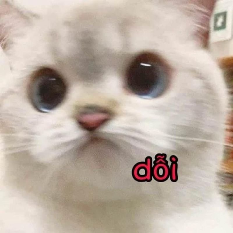 meme dỗi hài đang được chia sẻ nhiều meme dỗi hài đang được chia sẻ nhiều