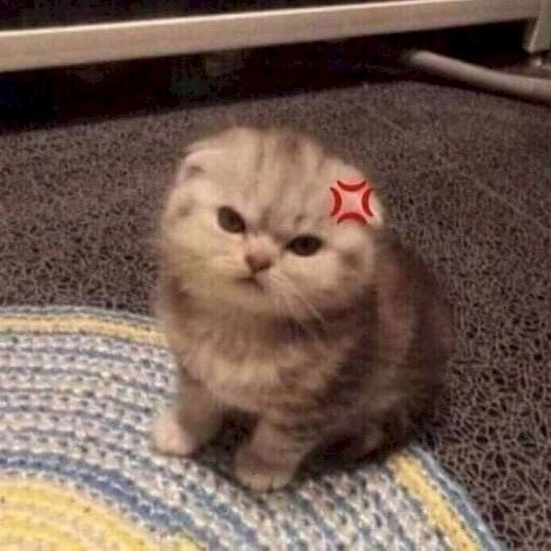 meme dỗi hài hước dành cho người yêu meme dỗi hài hước dành cho người yêu