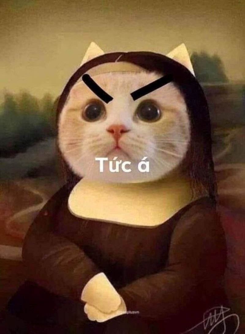meme dỗi hài hước khiến dân tình thích meme dỗi hài hước khiến dân tình thích