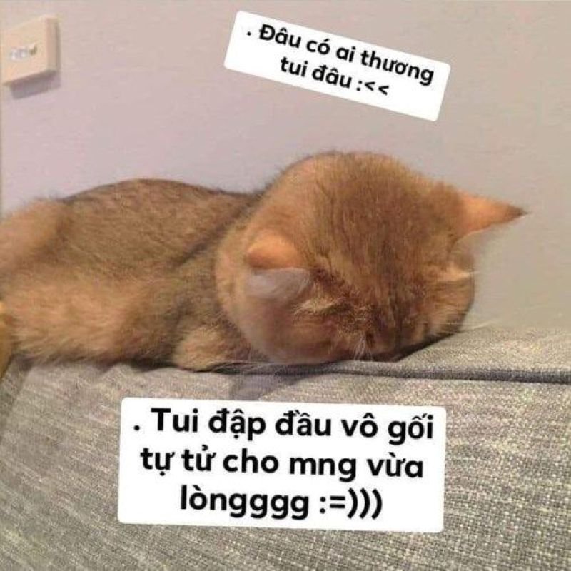 meme dỗi hài hước khiến người yêu mềm lòng meme dỗi hài hước khiến người yêu mềm lòng