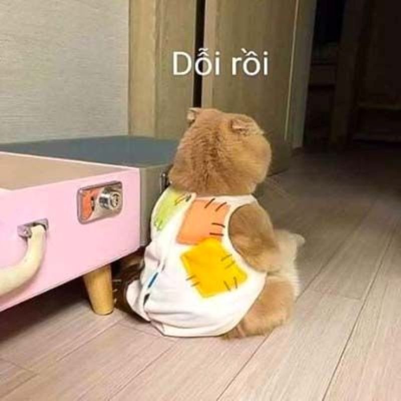 meme dỗi người yêu cực hài cực chất meme dỗi người yêu cực hài cực chất
