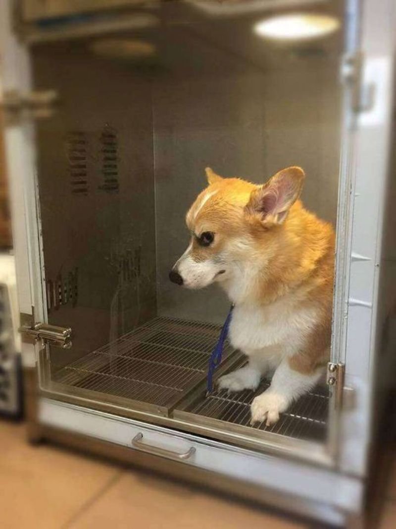 meme dỗi người yêu nhìn cực buồn cười meme dỗi người yêu nhìn cực buồn cười