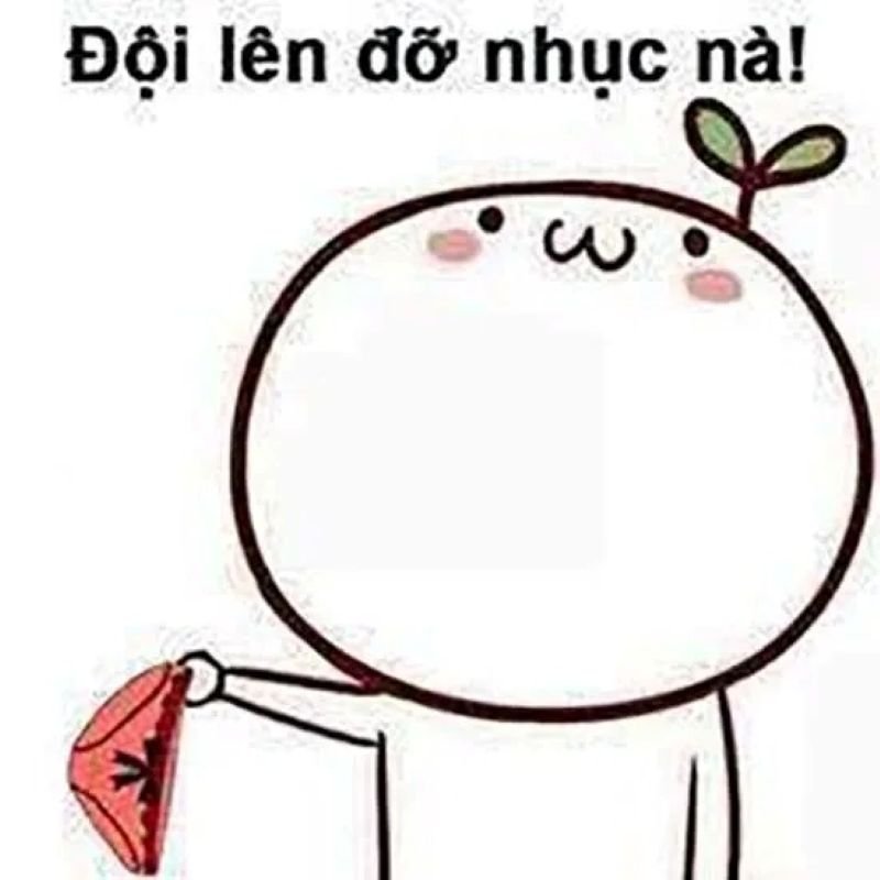 meme đội quần cực chất cực hài