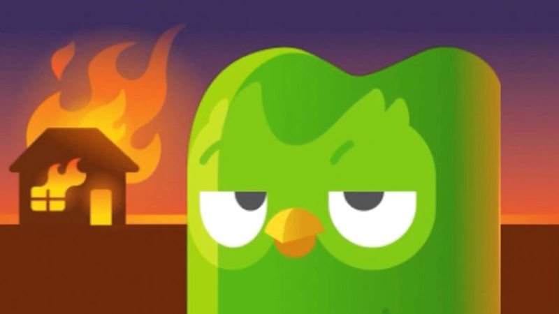 meme duolingo ảnh chế siêu hài hước meme duolingo ảnh chế siêu hài hước
