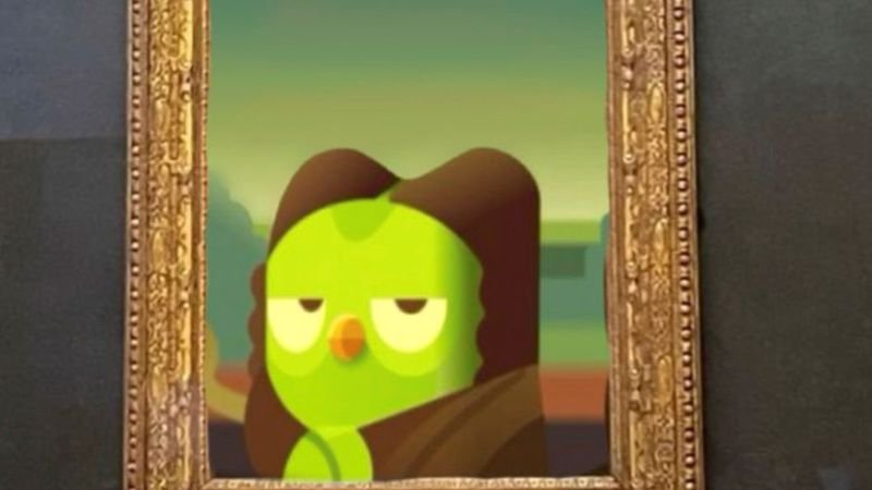 meme duolingo biểu cảm đầy bất lực meme duolingo biểu cảm đầy bất lực