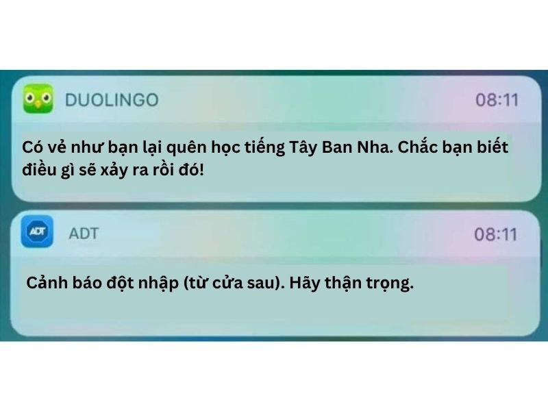 meme duolingo biểu cảm khiến dân mạng thích thú meme duolingo biểu cảm khiến dân mạng thích thú