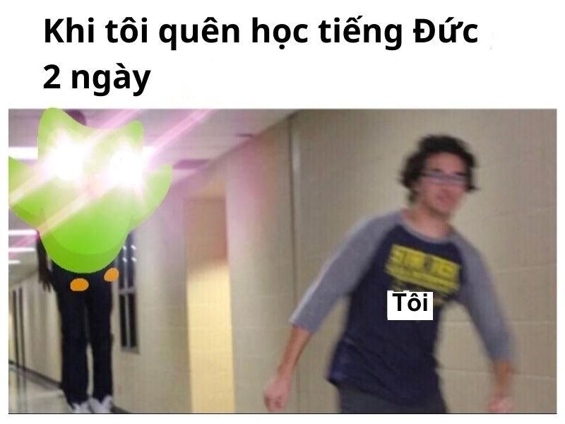 meme duolingo biểu cảm khó đỡ meme duolingo biểu cảm khó đỡ