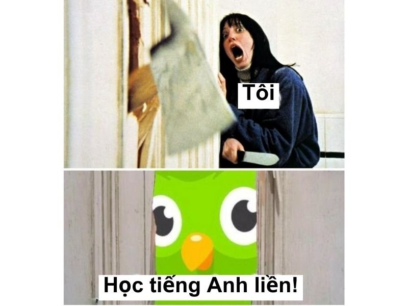 meme duolingo cực hài đang viral meme duolingo cực hài đang viral