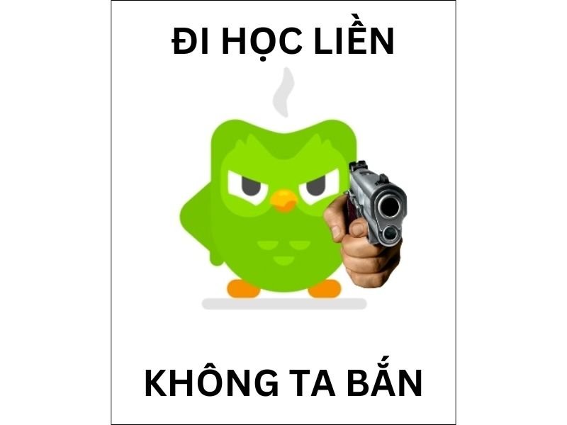 meme duolingo dành cho dân học ngoại ngữ meme duolingo dành cho dân học ngoại ngữ