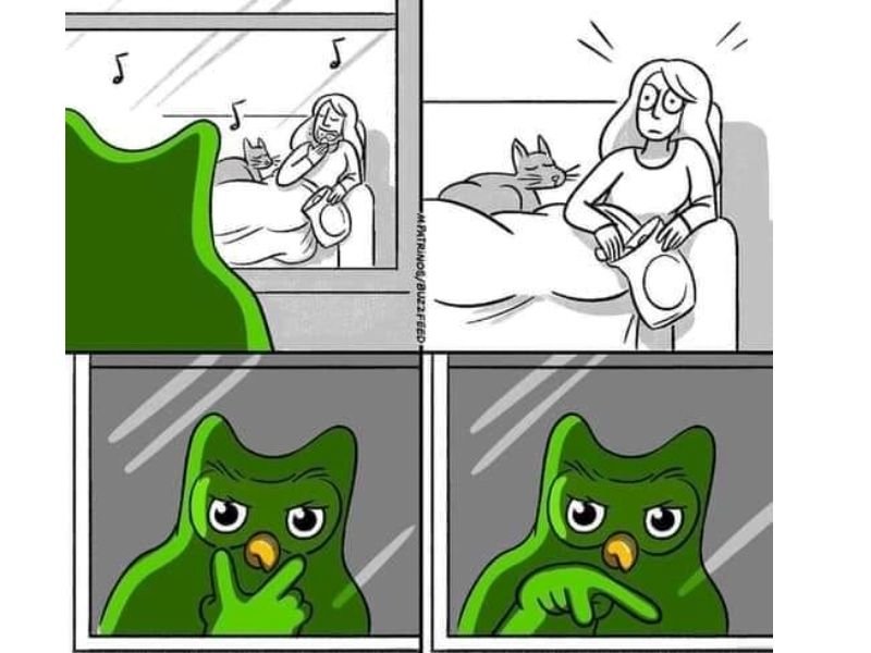 meme duolingo hài hước cực kỳ bá đạo meme duolingo hài hước cực kỳ bá đạo