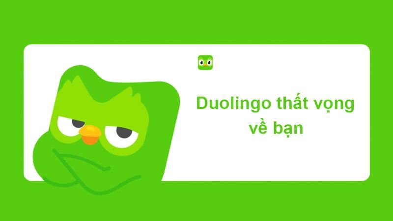 meme duolingo hài hước dành cho gen z meme duolingo hài hước dành cho gen z