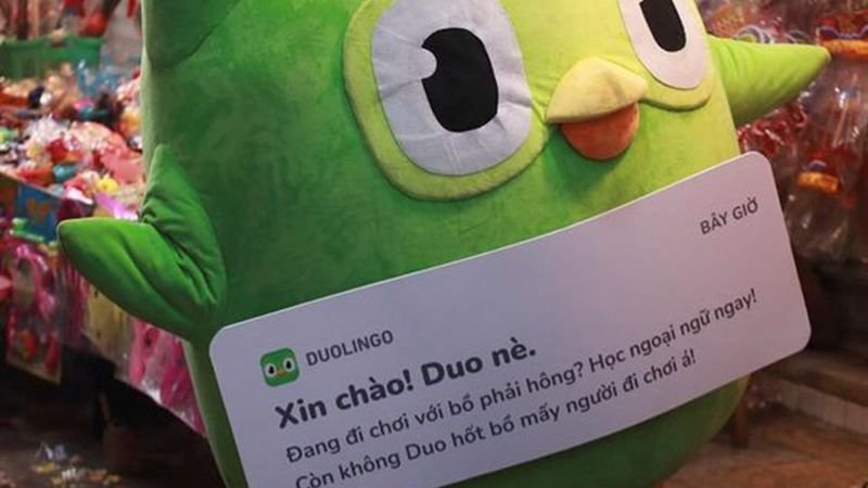 meme duolingo hài hước xem là nghiện meme duolingo hài hước xem là nghiện