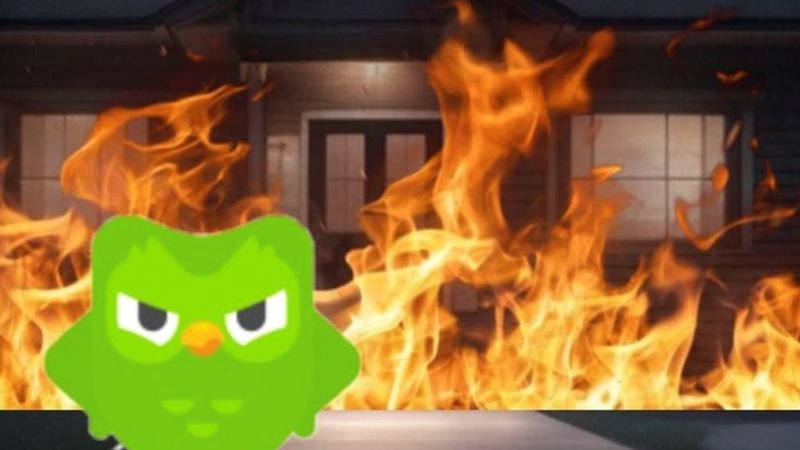 meme duolingo khiến người học phát khóc meme duolingo khiến người học phát khóc