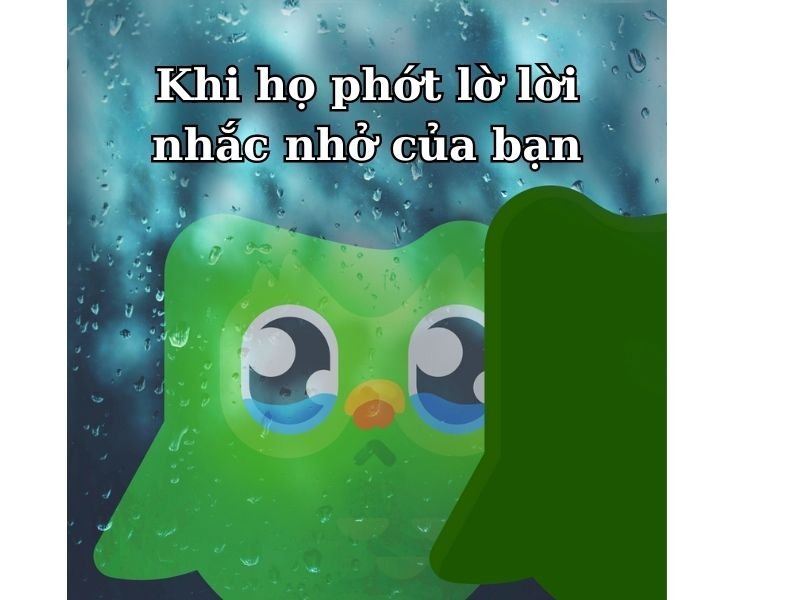 meme duolingo khoảnh khắc cười ra nước mắt meme duolingo khoảnh khắc cười ra nước mắt