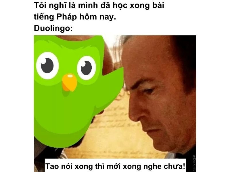 meme duolingo nhìn là muốn cười meme duolingo nhìn là muốn cười