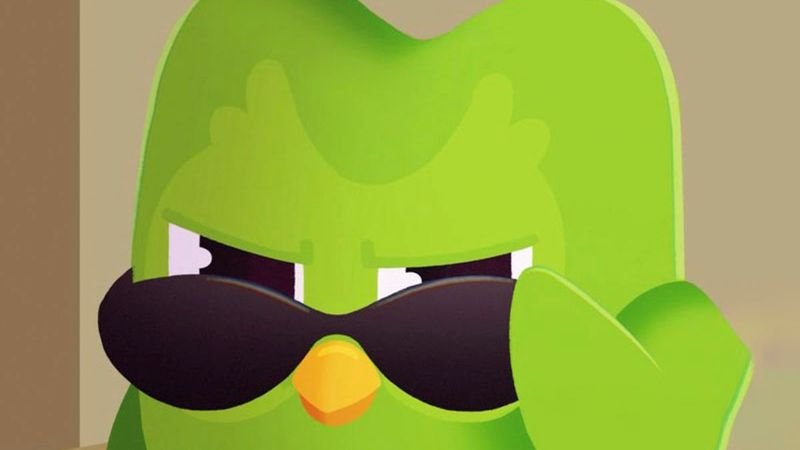 meme duolingo những biểu cảm không thể đỡ meme duolingo những biểu cảm không thể đỡ