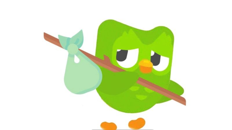 meme duolingo những ngày học ngoại ngữ meme duolingo những ngày học ngoại ngữ