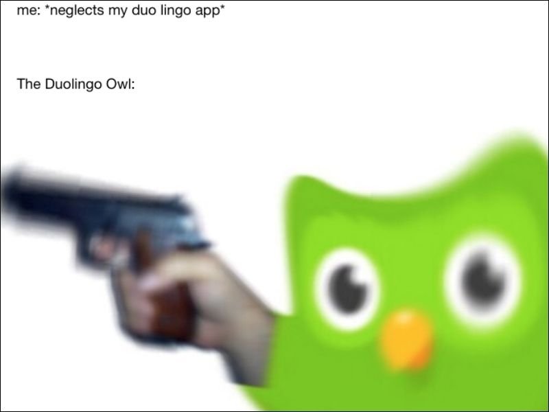 meme duolingo phiên bản siêu hài hước meme duolingo phiên bản siêu hài hước