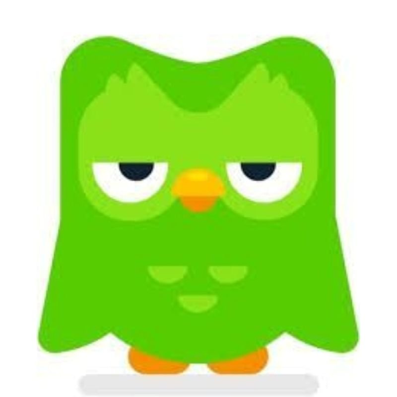 meme duolingo tình huống học tập bá đạo meme duolingo tình huống học tập bá đạo