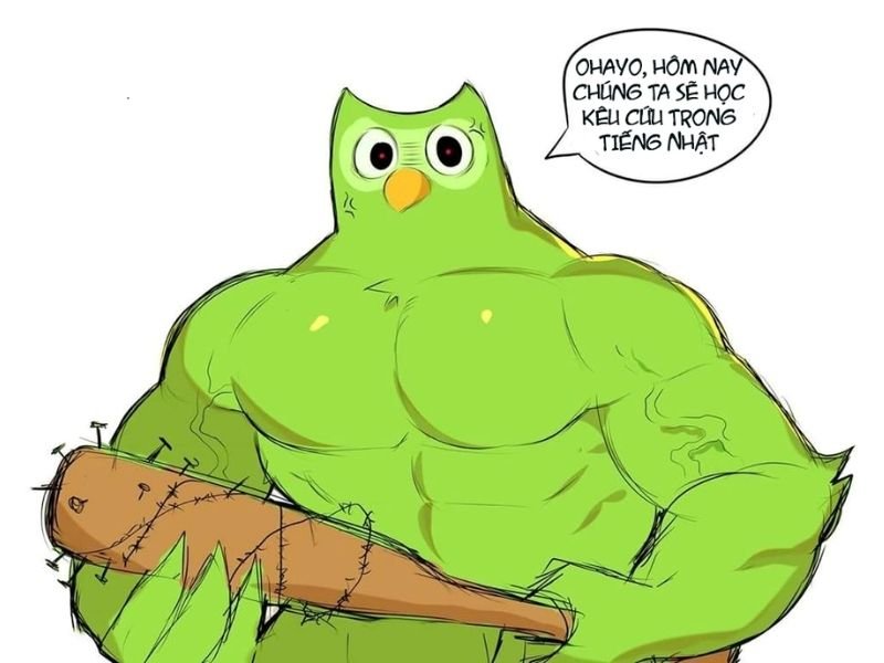 meme duolingo xanh lè đầy ám ảnh meme duolingo xanh lè đầy ám ảnh