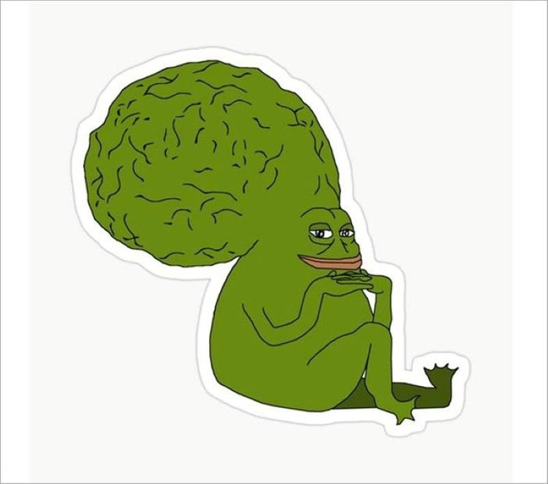 meme ếch xanh biểu cảm khó đỡ