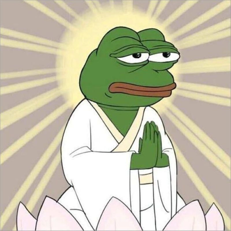 meme ếch xanh troll cực kỳ vui nhộn