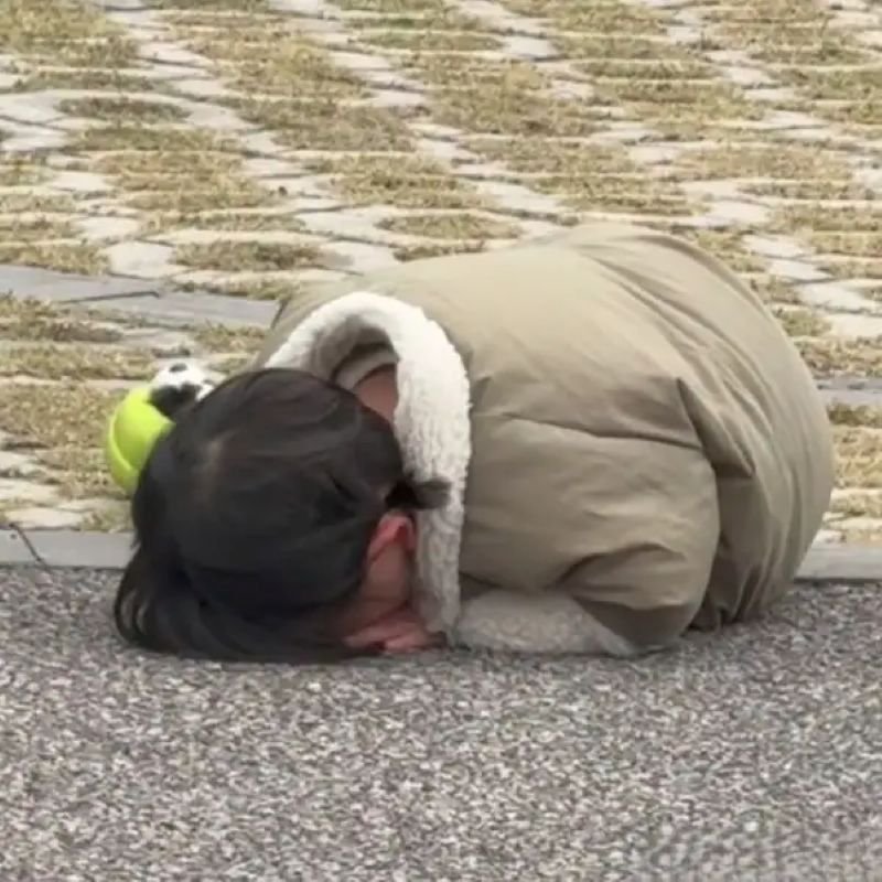 meme em bé cute làm tan chảy