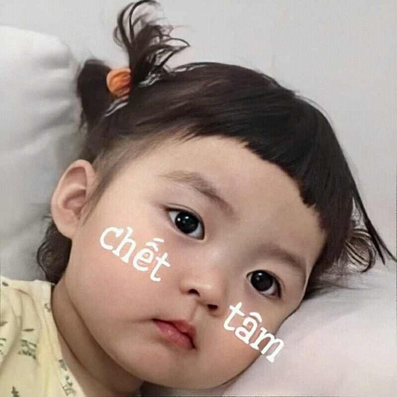 meme em bé hài hước cực trending