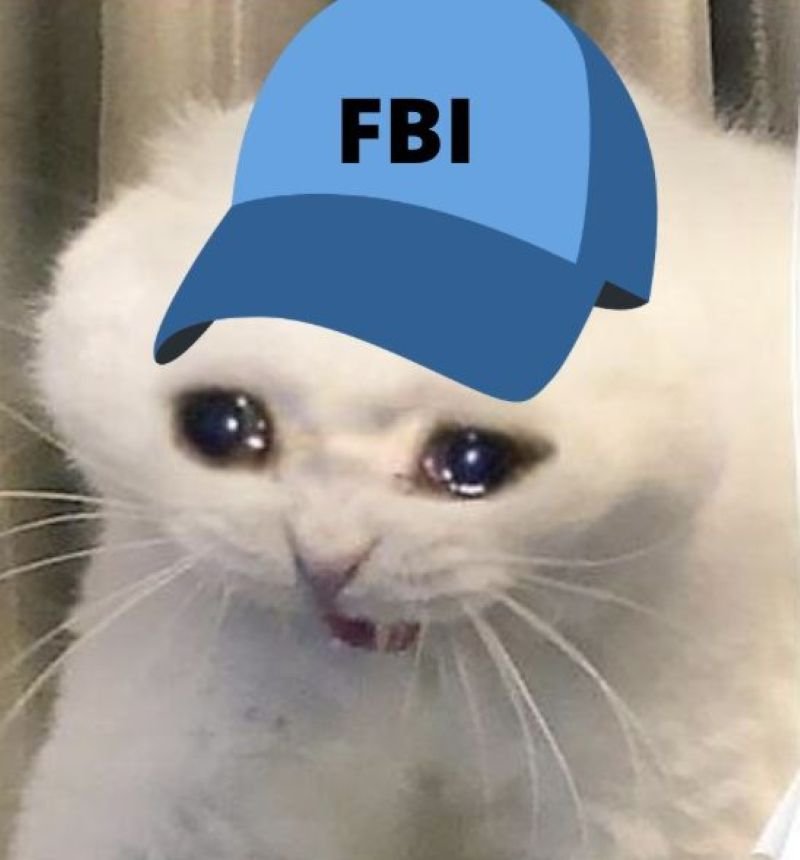 meme fbi cực kỳ bá đạo