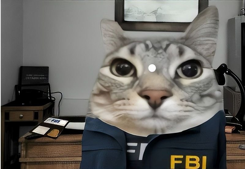 meme fbi pha điều tra bá đạo